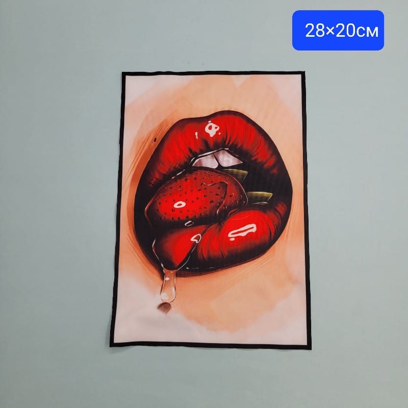 Апликация принт / 28х20см / 01643